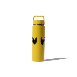 Alternative view of ASSC x Peanuts Zig Zag Water Bottle